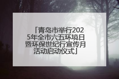 青岛市举行2025年全市六五环境日暨环保世纪行宣传月活动启动仪式